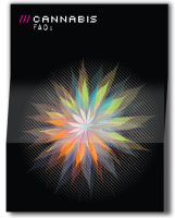 Front cover of a ketamine information leaflet showing an abstract cannabis leaf design and the word 'cannabis FAQs' on a black background.