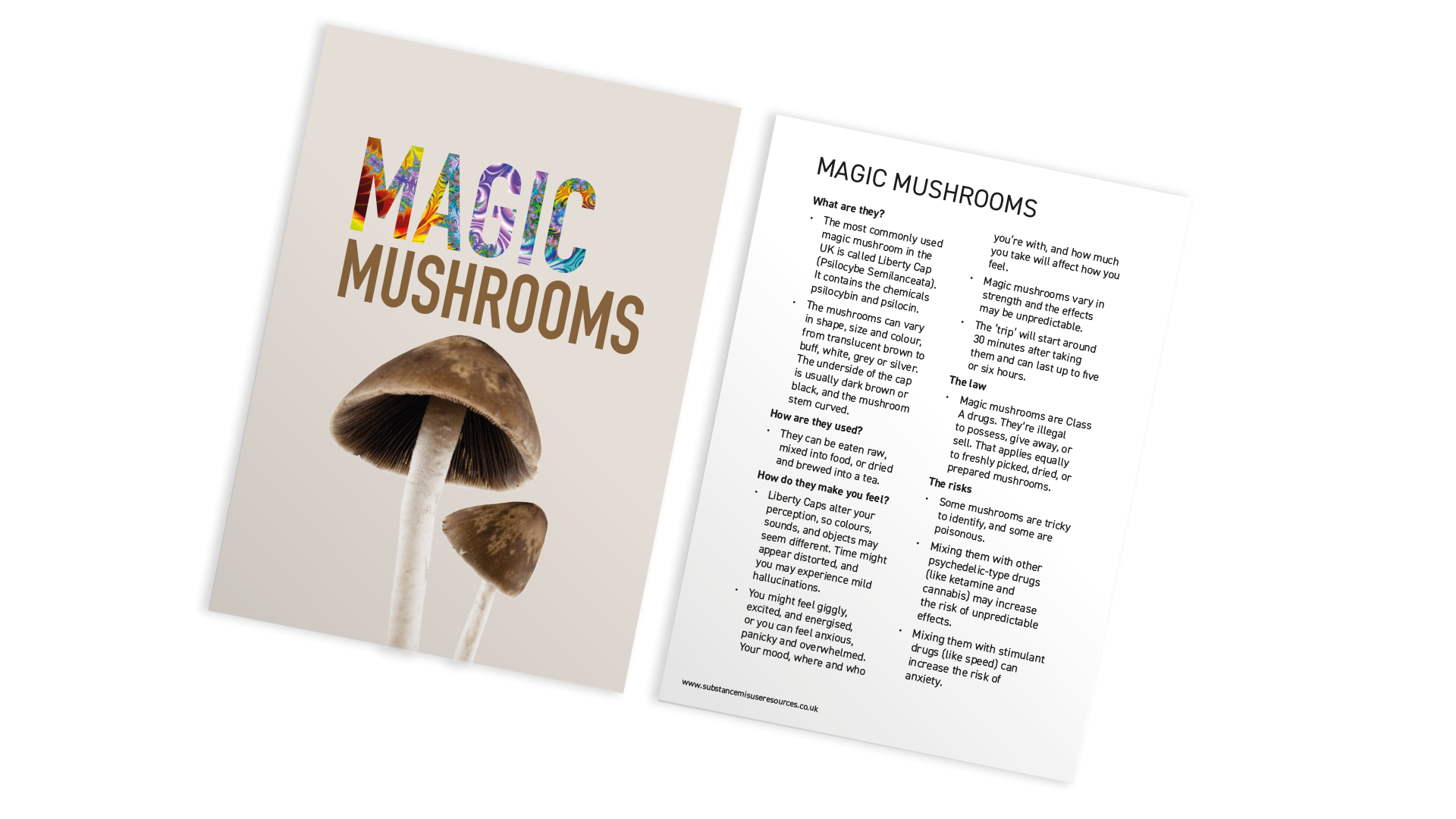 A6, Magic Mushroom postcard-style education resource. Psilocybin mushroom on front, information on reverse.