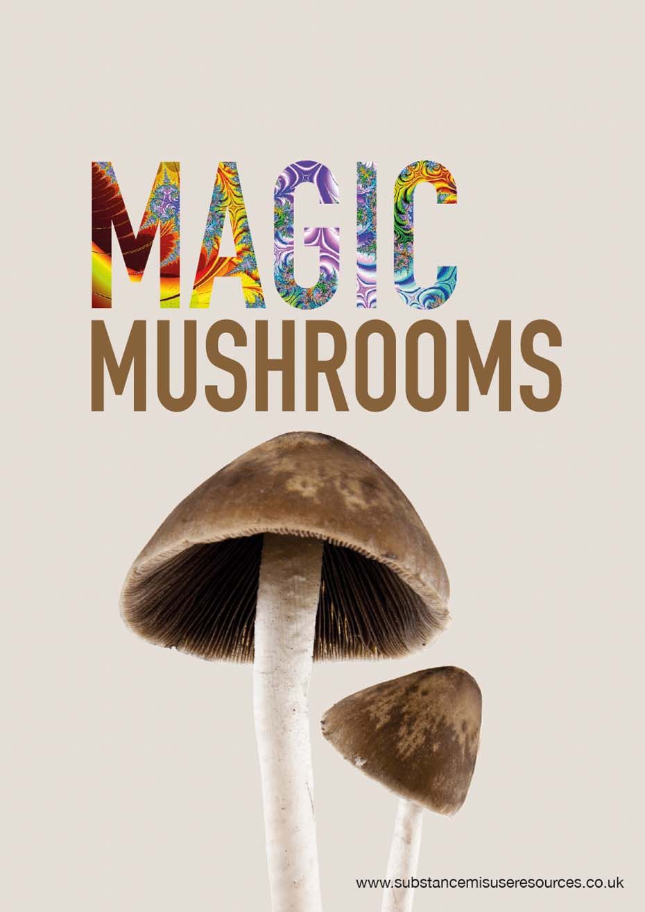 Cover of magic musroom  information card