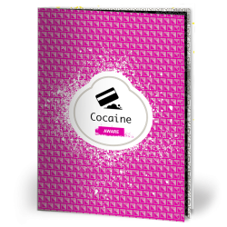 Cover of an A6 cocaine harm reduction booklet featuring an icon of a card chopping up lines of cocaine