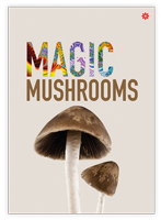 The words Magic Mushroom with a picture of a Psilocybin mushroom on an A6 health information card