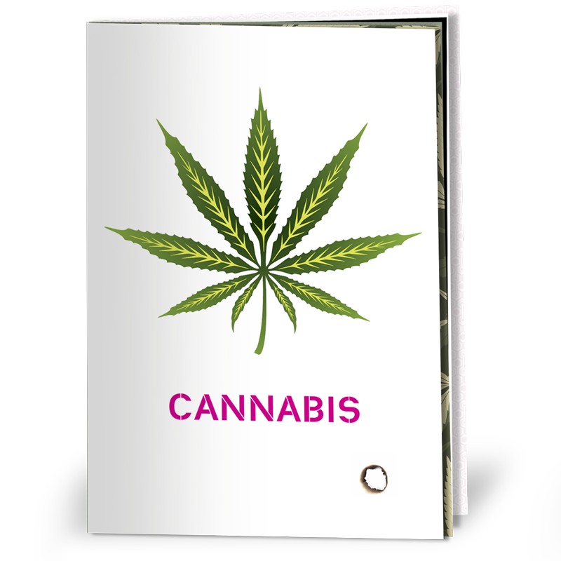 front cover of cannabis harm reduction booklet showing a cannabis leaf