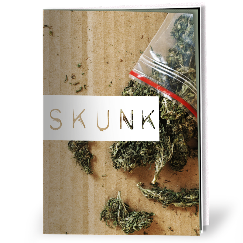 Cover of Skunk harm reduction information and advice resource, showing a bag of skunk cannabis