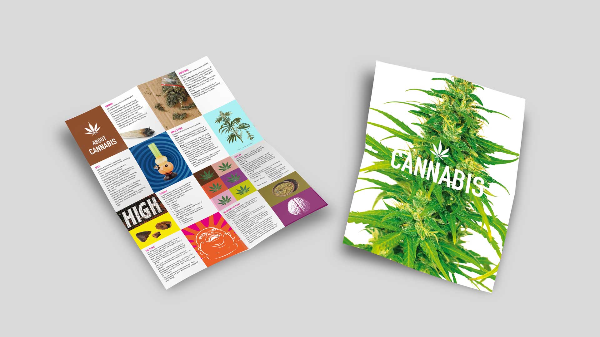 Cannabis information poster - inside page shows drug paraphernalia and health advice. Front page shows a large marijuana plant and the word cannabis