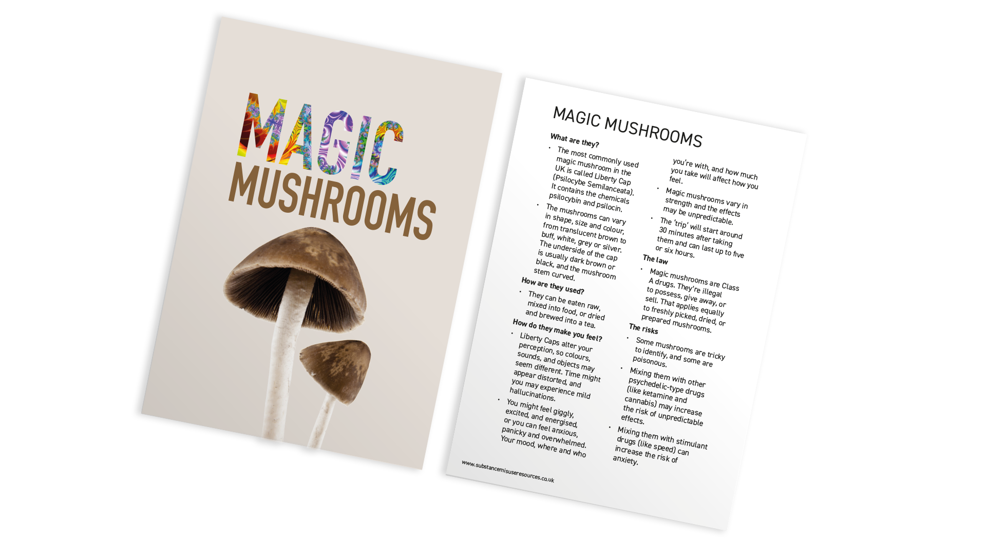 A6, Magic Mushroom postcard-style education resource. Psilocybin mushroom on front, information on reverse.