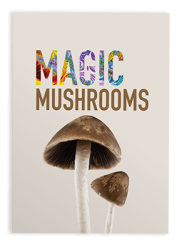 The words Magic Mushroom with a picture of a Psilocybin mushroom on an A6 health information card