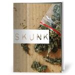 Cover of Skunk harm reduction information and advice resource, showing a bag of skunk cannabis