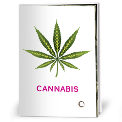 Cover of an 8-page cannabis information pamphlet showing an illustration of a green cannabis leaf with the word 'cannabis' underneath.
