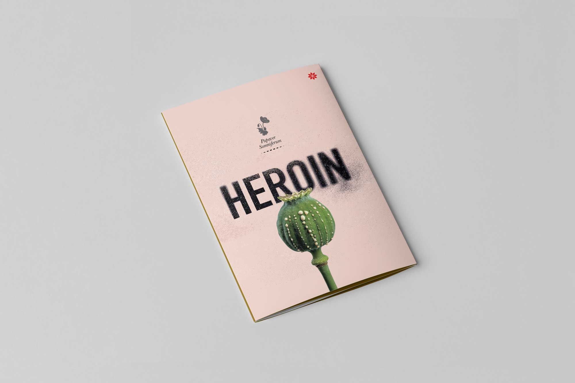 Heroin harm-reduction leaflet UK - educational drug safety resource cover design with poppy illustration"